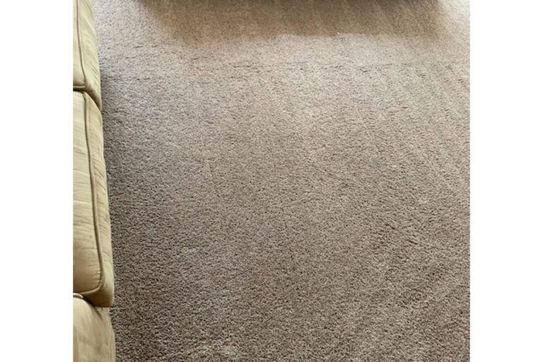 Carpet Cleaning Service Pearland, TX We Offer Free Estimates