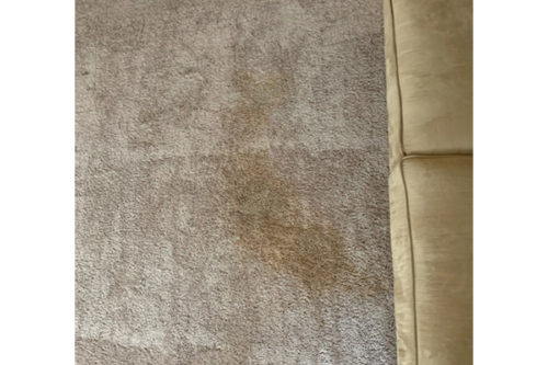 carpet cleaning before pearland-tx