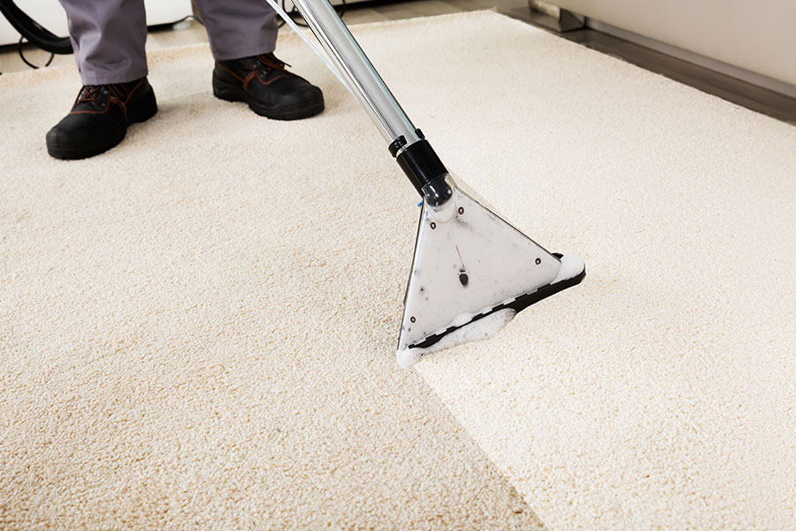 professional cleaning a carpet pearland tx