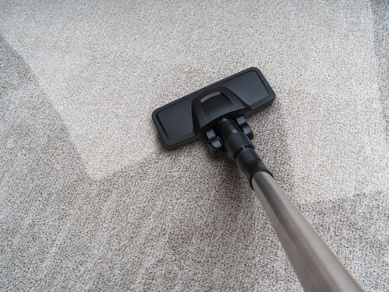 carpet cleaning with vacuum pearland tx