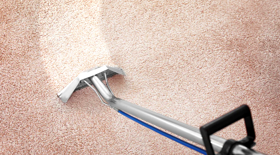 carpet cleaning services leigh tx