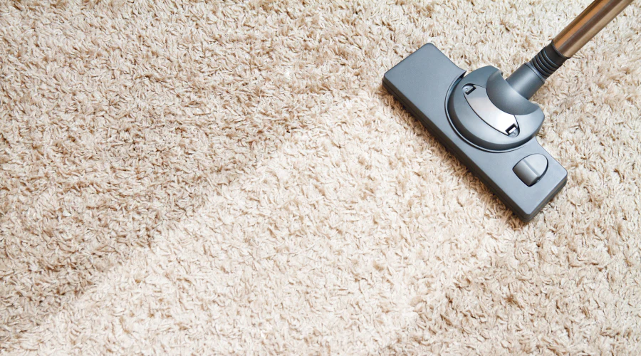 carpet cleaning services webster tx