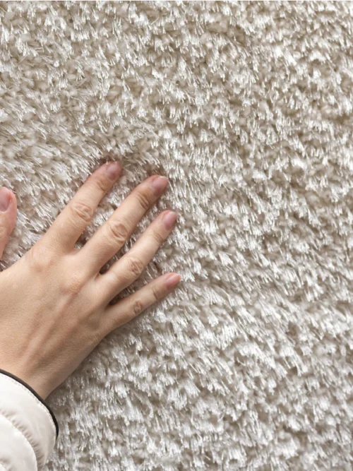 scotchguard protection services