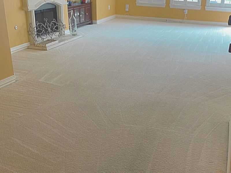 newly cleaned carpet