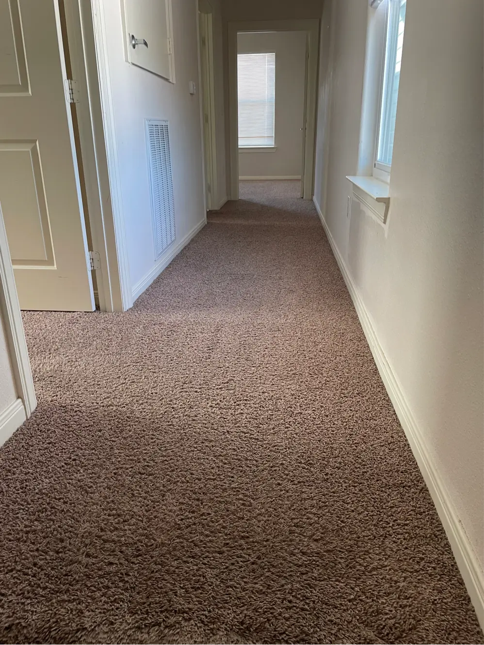 seasonal services carpet