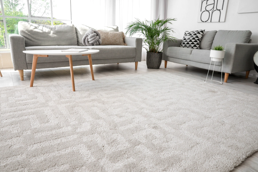 carpet cleaning services