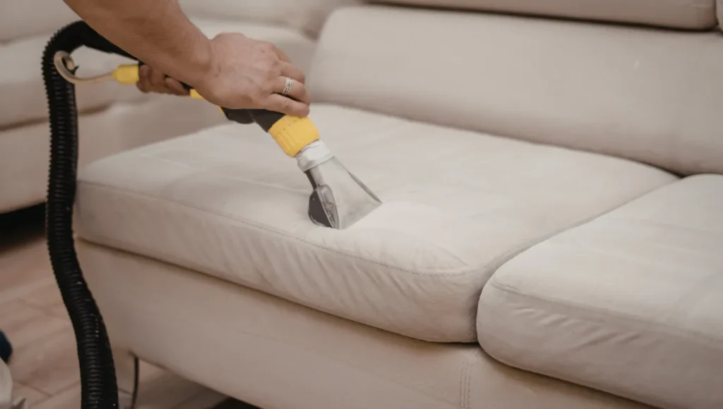Furniture Refresh Why League City Families Are Deep Cleaning Their Sofas