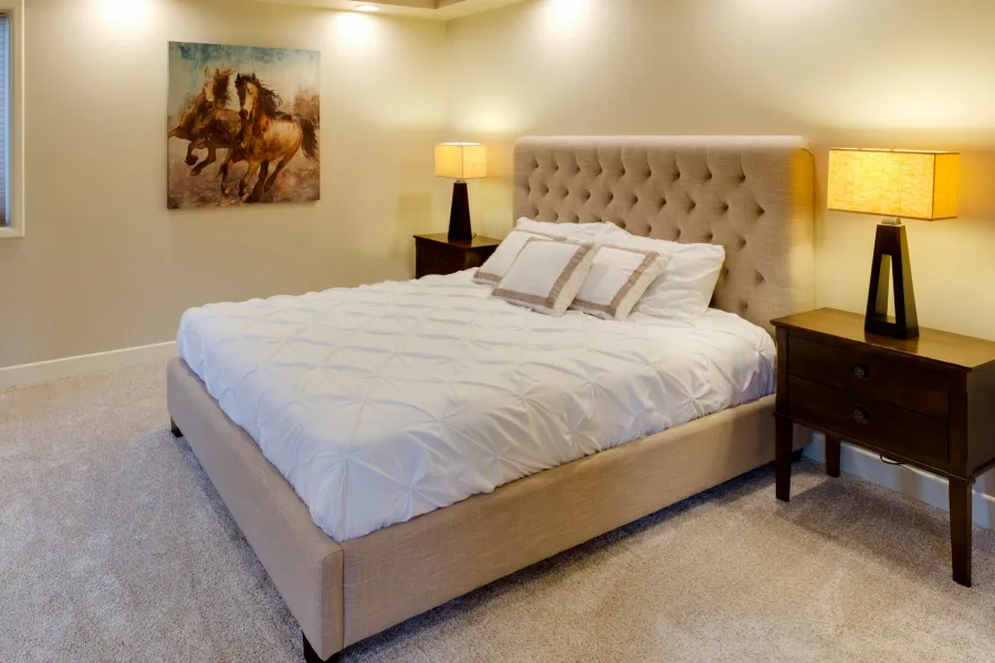 carpet mattress hygiene
