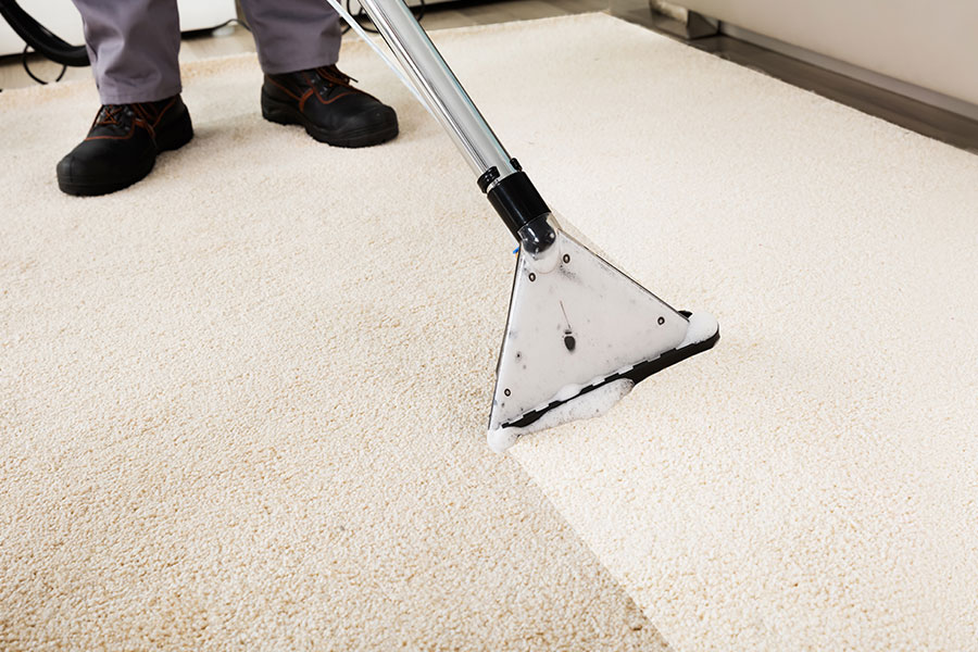 The Pre Holiday Countdown Why October Is the Ideal Month for Friendswood Carpet Care